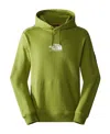 The North Face Fine Alpine Logo-print Cotton Hoodie In Green