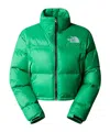 The North Face Nuptse Short Jacket In Green