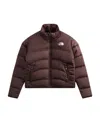 The North Face 2000 Synthetic Long-sleeved Cotton Suit In Brown