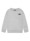 The North Face Logo-print Sweatshirt In Grey