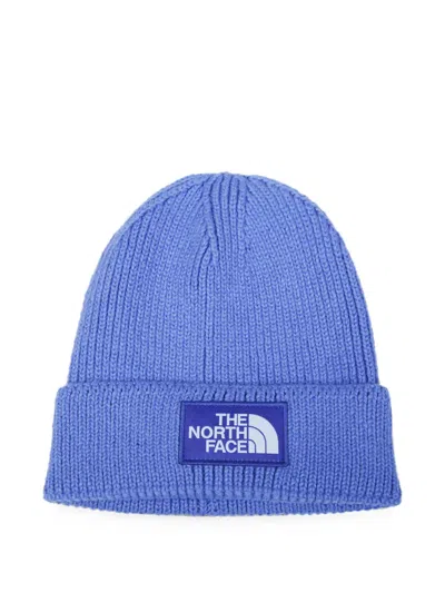 The North Face Logo-patch Ribbed Beanie Hat In Purple