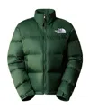 The North Face 1996 Retro Nuptse Down Jacket In Green
