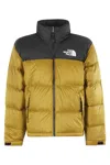 The North Face Greendown Jacket With High Neck And Logo On Front And Back In Tech Fabric Man
