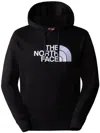 The North Face Evolution Half Dome Pullover Hoodie In Black