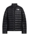 The North Face Carduelis Logo-embroidered Padded Jacket In Black