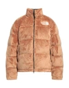 The North Face Versa Velour Nuptse Beige Jacket In Beige