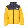 The North Face Men's 1996 Retro Nuptse Cone Orange Down Jacket In Cone Orange
