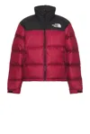 The North Face Vintage Nuptse Jacket Down Jacket In Beetroot & Tnf Black