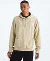 The North Face Men's Evolution Box Camo Fill Graphic Hoodie In Neutral