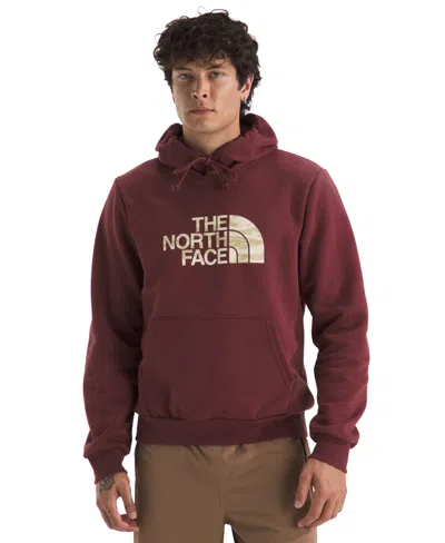 The North Face Men's Evolution Edge Of Light Half Dome Hoodie In White