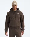 The North Face Men's Evolution Vintage Hoodie In Brown
