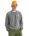 The North Face Oversize Evolution Simple Dome Crewneck Sweatshirt In Gray