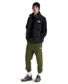 The North Face Men's Evolution Simple Dome Joggers In Green
