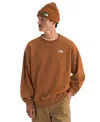 The North Face Men's Evolution Simple Dome Oversized Crew Sweatshirt In Brown
