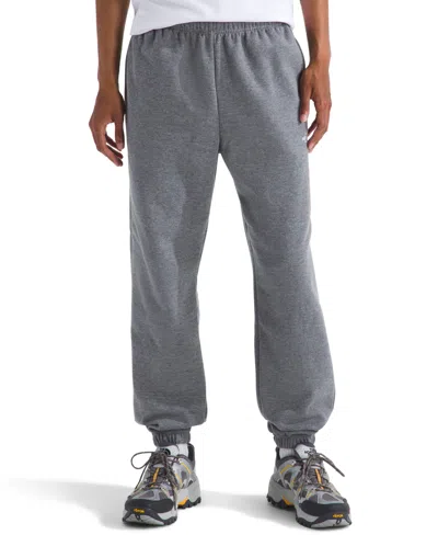 The North Face Men's Evolution Simple Dome Pants In Gray