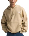 The North Face Men's Evolution Vintage Hoodie In Neutral
