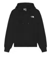 THE NORTH FACE MEN'S EVOLUTION VINTAGE HOODIE