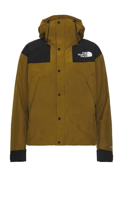 THE NORTH FACE MEN'S GTX MOUNTAIN JACKET