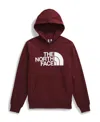 The North Face Men's Immersed Outdoors Half Dome Graphic Hoodie In Sumac,white