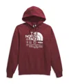 The North Face Men's Immersed Outdoors Half Dome Graphic Hoodie In Sumac