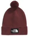 The North Face Men's Logo Box Pom Beanie In Brown