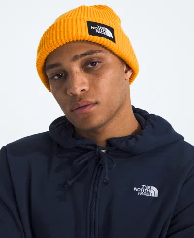 The North Face Men's Salty Lined Beanie In Gold