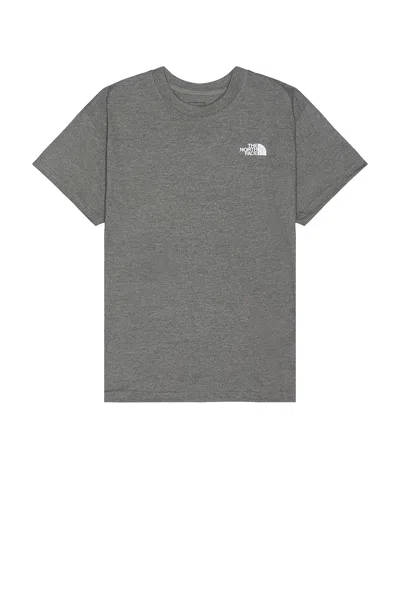 The North Face Evolution Box Fit T-shirt In Gray