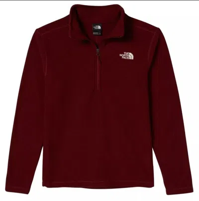 The North Face Men's Textured Cap Rock 1/4 Zip Pullover Sweatshirt Size S Sgn553 In Red