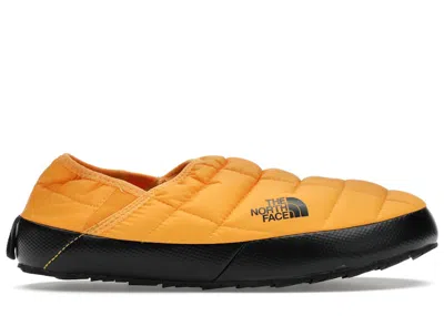 Pre-owned The North Face Men's  Thermoball Traction Mule V Sneakers In Summit Gold/black