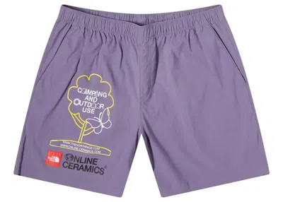 Pre-owned The North Face Men's  X Online Ceramics Class V Pull On Short In Lunar Slate In Gray