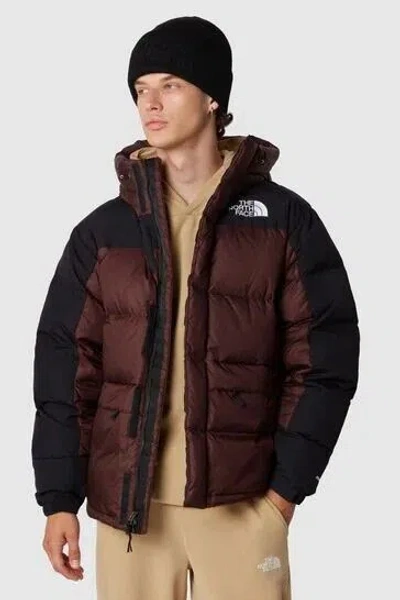 Pre-owned The North Face Mens  Himalayan 550-down Insulated Winter Parka In Brown