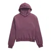 The North Face Mock Neck Chabot Hoodie In Midnight Mauve In Multi
