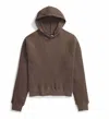 The North Face Mock Neck Chabot Hoodie In Smokey Brown In Multi