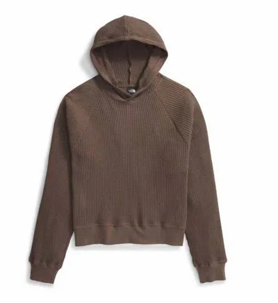 The North Face Mock Neck Chabot Hoodie In Smokey Brown In Multi