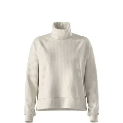 The North Face Mock Neck Chabot Pullover In White Dune In Multi