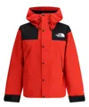 The North Face Dryvent Mono Mountain Red Jacket In Red