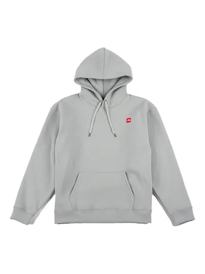 The North Face Mount Everest-graphic Hoodie In Gray