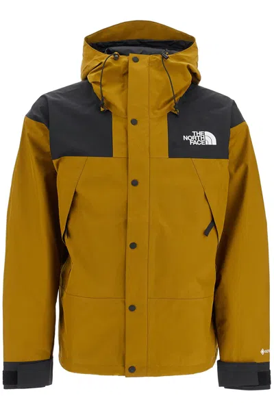 The North Face Mountain Logo-embroidered Colour-block Gore-tex Hooded Jacket In Green