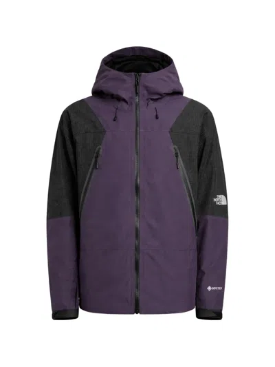 The North Face Hke Spectra Gtx Mountain Hooded Jacket In Purple