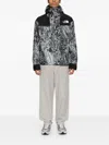 THE NORTH FACE MOUNTAIN JACKET