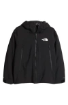 The North Face Mountain Range Hooded Down Jacket In Tnf Black