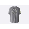 THE NORTH FACE NSE GRAPHIC TEE SMOKED PEARL
