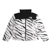 The North Face Nuptse Down Parka 700 In White