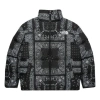 The North Face Nuptse Jacket In Gray