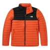 The North Face Nuptse Jacket 700 In Multi