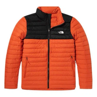 The North Face Nuptse Jacket 700 In Multi