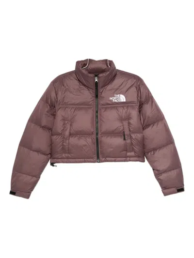 The North Face Nuptse Puffer Jacket In Brown