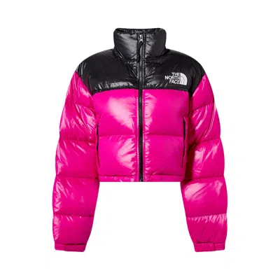 Pre-owned The North Face Nuptse Short Jacket 'fuchsia Pink' | Women's Size Xs