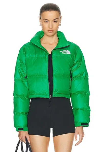 The North Face Nuptse Short Jacket In Optic Emerald