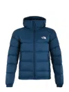 The North Face Hydenalite Hat And Down Jacket